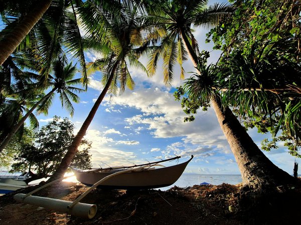 Découvrez le camping idéal pour vos vacances sur l'île de ré