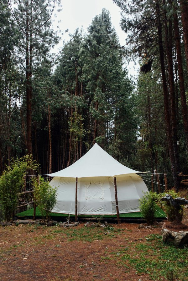 Les emplacements de camping à marseille : optez pour l'ombre et le confort